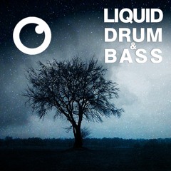 Liquid Drum & Bass Sessions #60 - Dreazz [March]