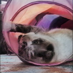 ALL FOR ME REMIX LIVE MASHUP