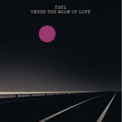 Under the moon of love (in the style of Showaddywaddy)