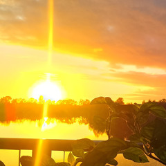 Vitamin D