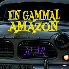 En gammal Amazon (2023 Master)