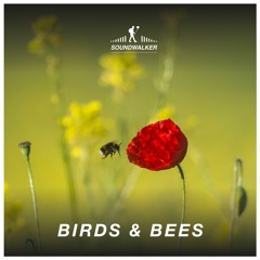 Birds & Bees | Calming Nature Sounds for Meditation, Yoga, Relaxation and Sleep