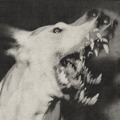 My childhood was a period of waiting for the moment when I could send everyone and everything connected with it to hell