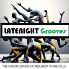 LATE NIGHT GROOVES