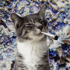faded