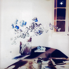 justGrady & willowind - SAY MY NAME