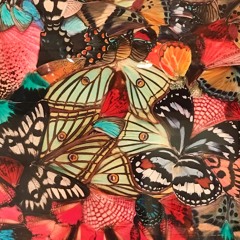 SM04 / / DONVTELLO - WE ARE THE ALIENS WE SEARCH FOR (prod. BILLY BUCK$)