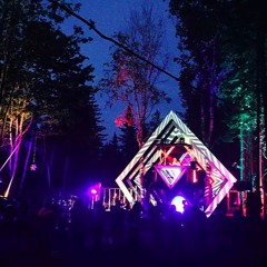 Forest Disco - New Year Mix(Live Recording)