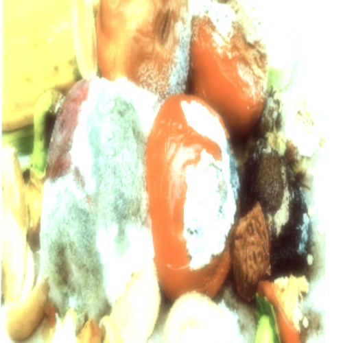 ROT