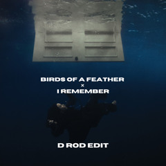BIRDS OF A FEATHER x I REMEMBER - D ROD EDIT (Deadmau5, Kaskade, Billie Eilish)