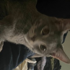 unrelease these bawls in ur mouth