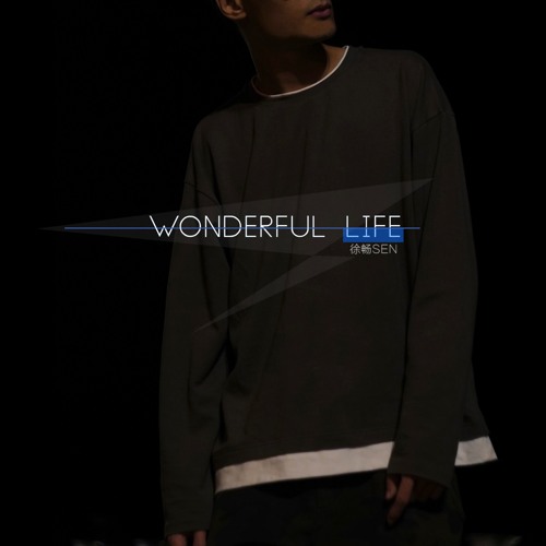 Wonderful Life