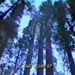 The Forest