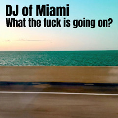 What the fuck is going on (Hvar edit)