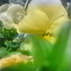 i’ve got it going [prod. flooid beats]