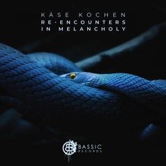PREMIERE: Käse Kochen feat. Vis Vires - Throwing Shade (MYDÄ Remix) [Stone Seed]