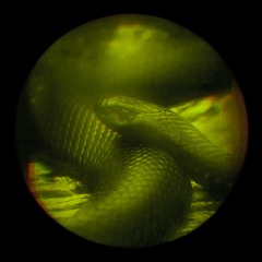 Y-NØT | Techno Never Dies (FREE DOWNLOAD)