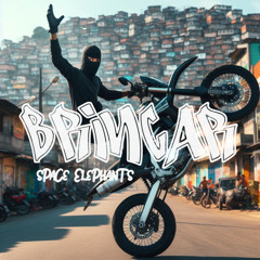 Brincar
