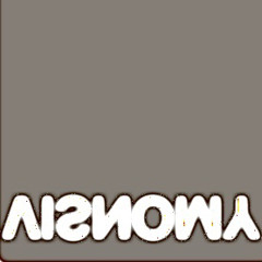 Visnomy