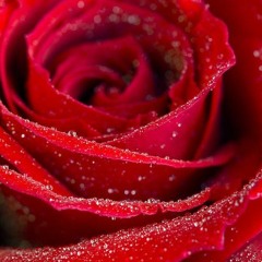 Indigo child (Natural Born Lover)