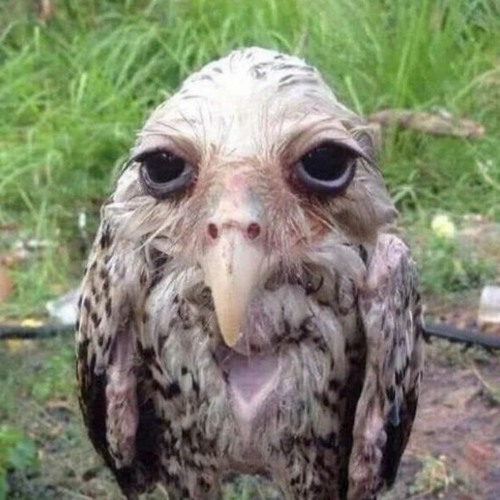 All I Ever Wanted (Radio Edit)