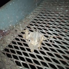 Dj set ZACK (Bb JvE PT ma t3te)