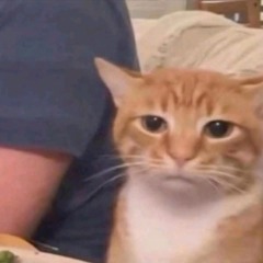 DIA DELÍCIA (Super Slowed)