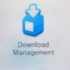 Wii u download management