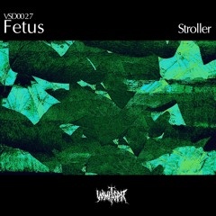 VSD0027 Fetus - Stroller EP