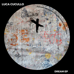 Luca Cucullo - Dream (Original Mix)_TEC266