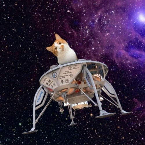 USB Sluts - Wackey Space