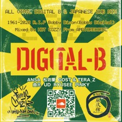 Digital B Mix
