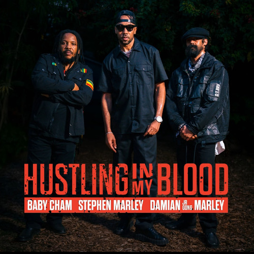 Cham, Stephan Marley, & Damian Marley - Hustling In My Blood