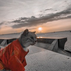 Random Vietmix HOT 2017 - DJ Magneto