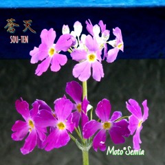 蒼天 SOU-TEN