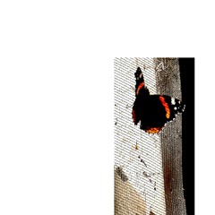Zhuangzi’s Butterfly Dream