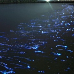 Type Beat_Life Is Good? (Prod.Shatz)_2022