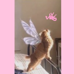 she was a fairy.