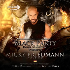 MICKY FRIEDMANN - PROGRESSIVE SET - BLACK PARTY ZÜRICH