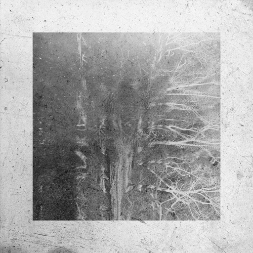 𝑷𝒓𝒆𝒎𝒊𝒆𝒓𝒆: Worg - Ianus Bifrons [GSXS-006]