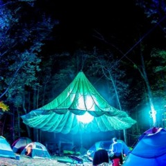 The Lake Stage @ That Fucking Festival 2021