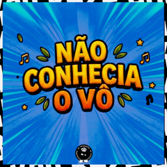 NÃO CONHECIA O VÔ - BK2P, PL Silva Original, MC Monik do Pix
