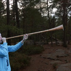 näverlur