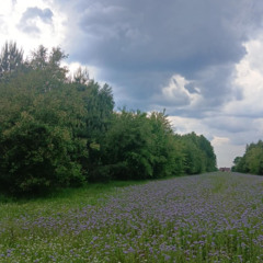 07.06.25