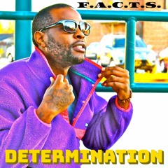Determination by F.A.C.T.S.