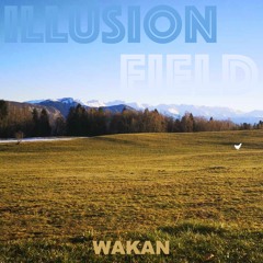 Illusion Field