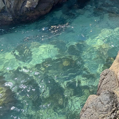 Part Of Your World (The Little Mermaid) - Cover