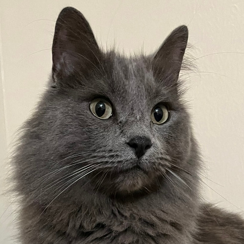 this shit writes itself 2025-04-18 1044