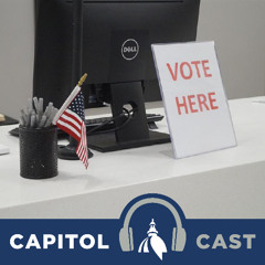 Primary election preview