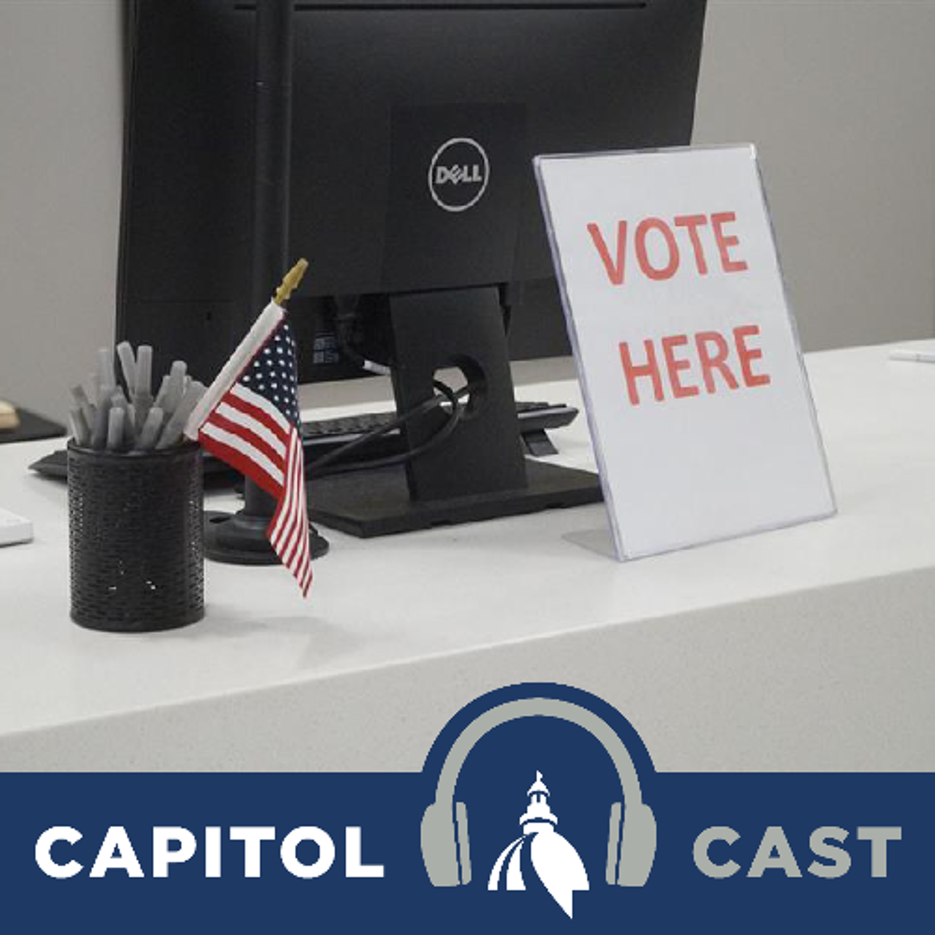 Primary election preview